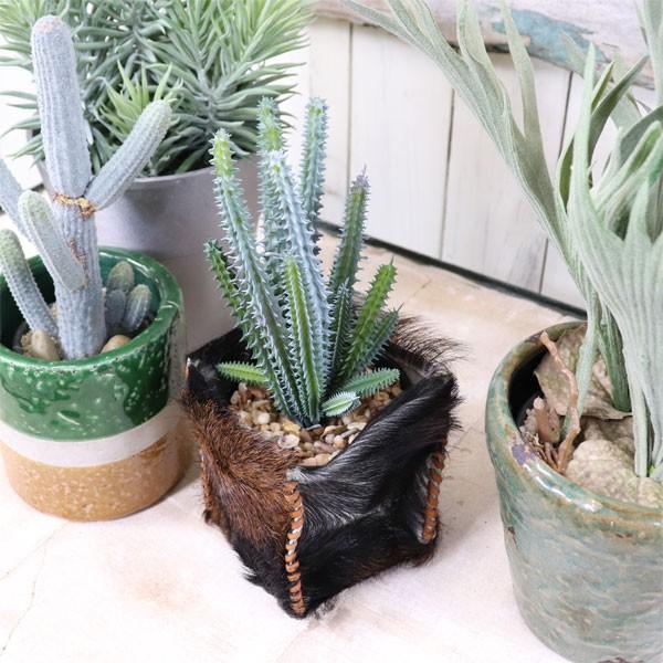 ユーフォルビアポット ファイクプランツ サボテン 観葉植物 造花 人工観葉植物 フェイクグリーン かわいい おしゃれ Ca040 ツリーハウス ガーデン雑貨 Diy 通販 Yahoo ショッピング