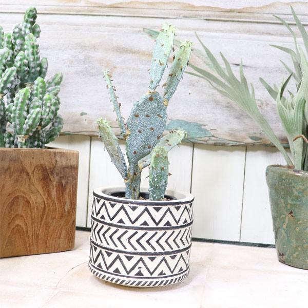 カクタス キンエボシ ファイクプランツ ウチワサボテン 観葉植物 造花 人工観葉植物 フェイクグリーン ギフト かわいい Vu32 ツリーハウス ガーデン雑貨 Diy 通販 Yahoo ショッピング