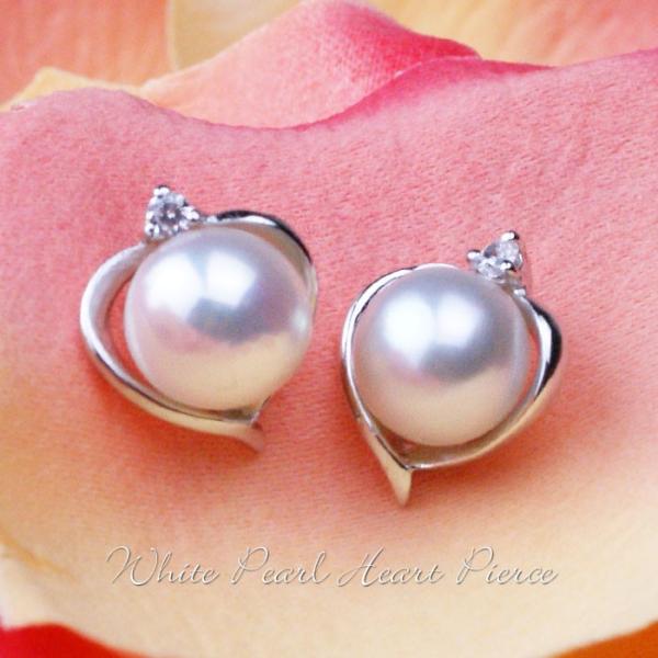 ^ p[ sAX  Ǝ  w AM[Ή 50 40 a NX}X v[g  Mtg zCgp[ n[g