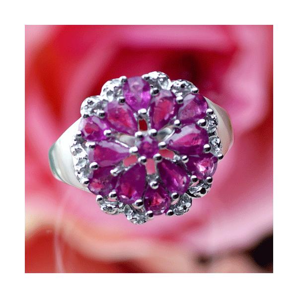 w fB[X  50 40 a NX}X v[g  Mtg O r[ JNeO yA[hbv JbgO