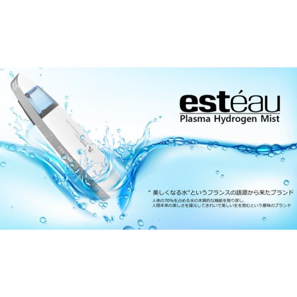 エステオ プラズマハイドロゲンミスト 水素ミスト 水素発生器 エステオ プラズマハイドロゲンミスト 水素ミスト 水素発生器