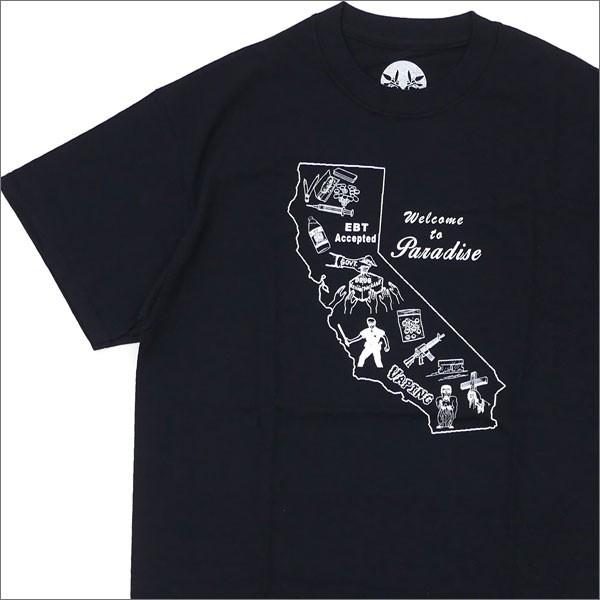 実物 Tシャツ PARADISE TEE fog frwd forward 実物 Tシャツ PARADISE TEE fog frwd forward Forward T-Shirt