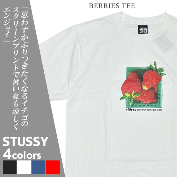 STUSSY 新品 ステューシー BERRIES TEE Tシャツ スケート