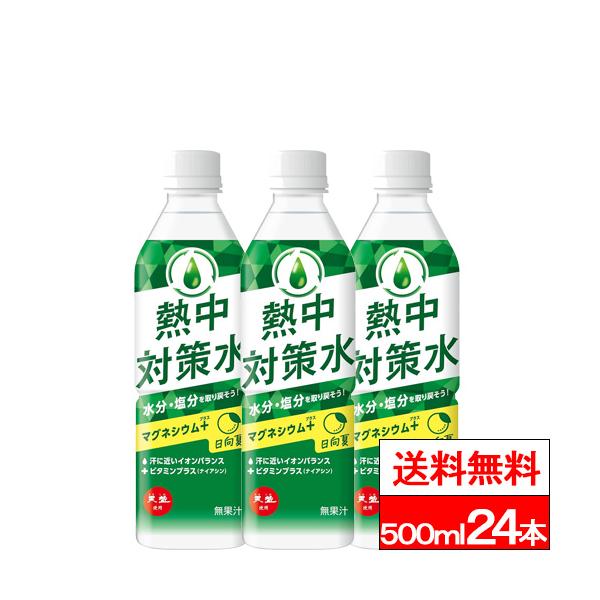 熱中対策水 特別価格 送料無料 1ケース 赤穂化成 日向夏味 500ml 24本