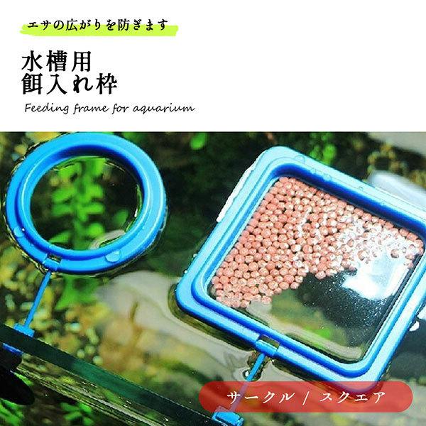 餌入れ 水槽 枠 アクアリウム 熱帯魚 吸盤 給餌 メダカ 金魚 エサの広がり防止 リング 送料無料 1q Esa Waku クロレッツ 通販 Yahoo ショッピング