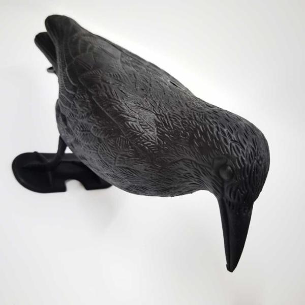 たなのうえのともだち様 黒いカラス 置物 Amazon.co.jp: 黒いカラスの