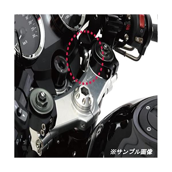 ACTIVE アクティブ バイク ビキニカウル取付けマウント シルバー アクティブステムキット用 カワサキ Z900RS '18 〜 '21 1367