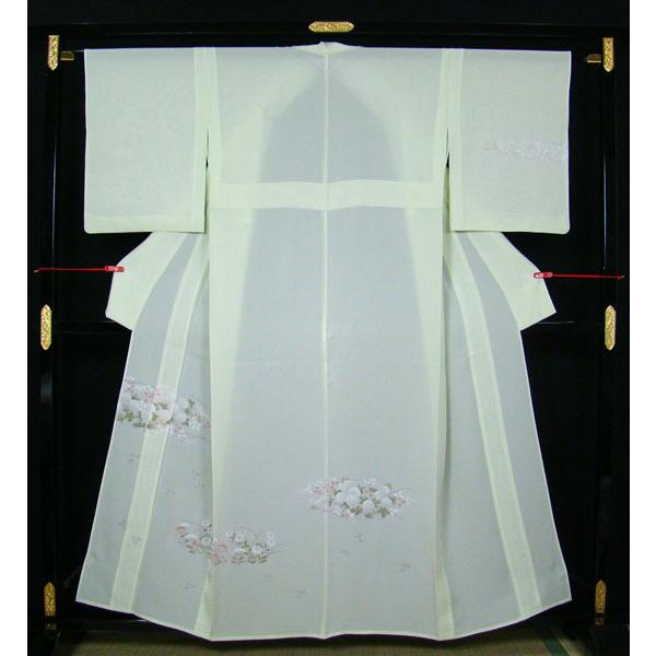 夏物 絽訪問着 涼しげな 菊花 ススキ オミナエシ柄 身長 