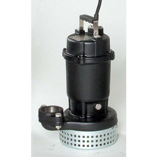 Go/`y65DS61.5Azp|v DS^ 񎩓^ O 60Hz(i 65DS61.5)kGAl