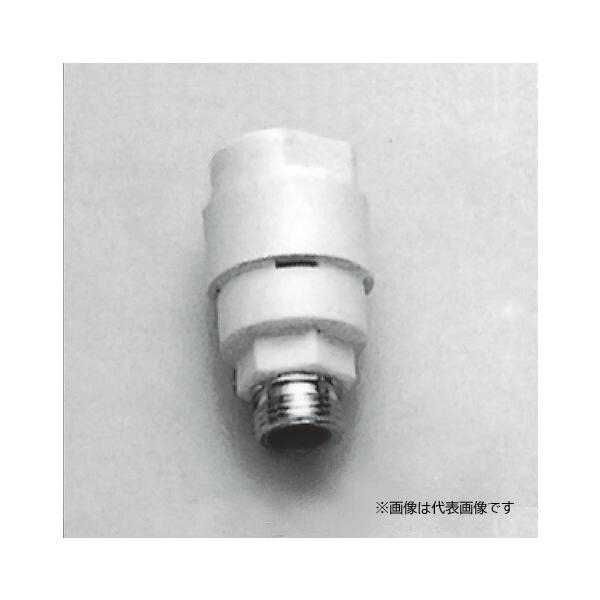 clover8888_lonseal241009-008-