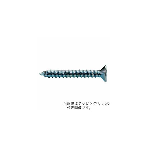 マーベル(MARVEL) タッピング サラ 4×40 TS-40P（軽天ビス<白頭> K-22C 