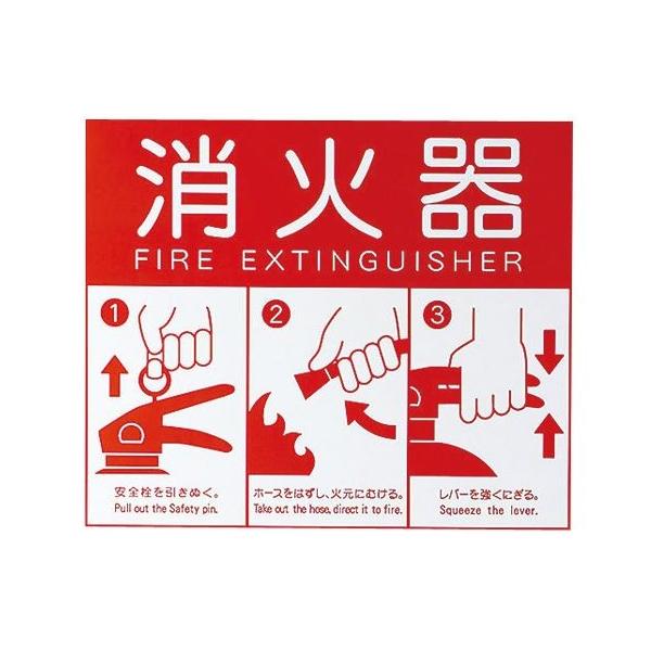 u.iX^/NastayKS-FE480z\v[g ^CvL