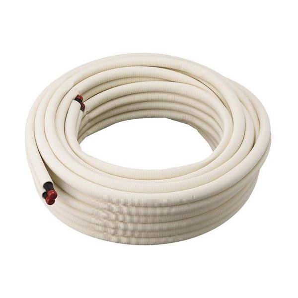 ΁Oh/SANEIyT4203-862-15AX20zۉޕtyAz[XkFAl