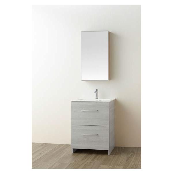 Oh/SANEIyWF019S2-600-PG-T2z(ؖڃO[) ʉϑ (t)kFAl