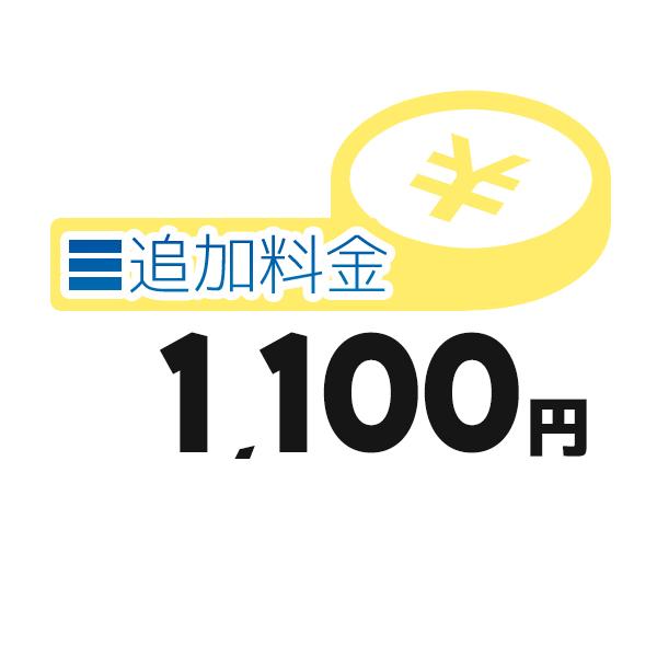 《総合賞受賞/17年連続ベストストア賞》 追加料金決済かご 1100円★★★---- 商品ご購入前に必ずご確認ください ----★★★※商品購入に関する重要なお報せを掲載している場合があります。商品をカートに入れる前に必ずご確認ください。パ...