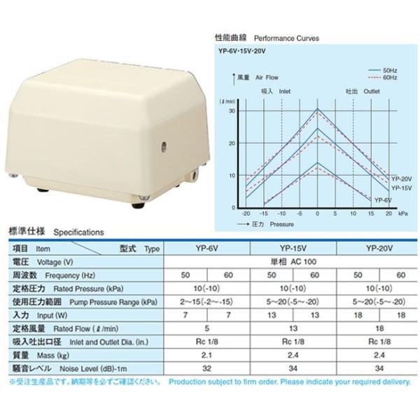 i dGA[|vyYP-6Vzzrp^Cv YP^Cv P100V 󒍐Y