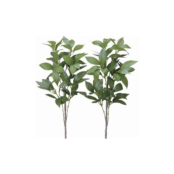 stsԁtG}@̊y@VL~Q{Zbg