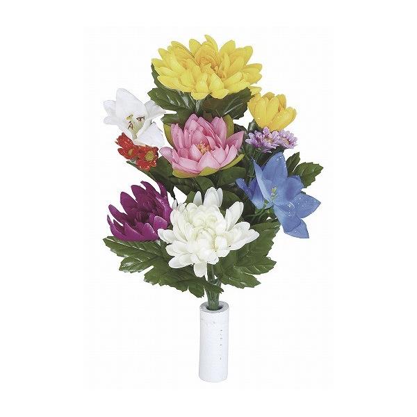 sA[gt[tsԁtG}@̊y@ԋeQZbg