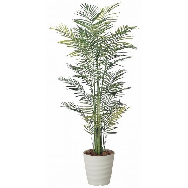 sA[gO[tslHϗtAtG}@̊y@gsJAJp|QDP