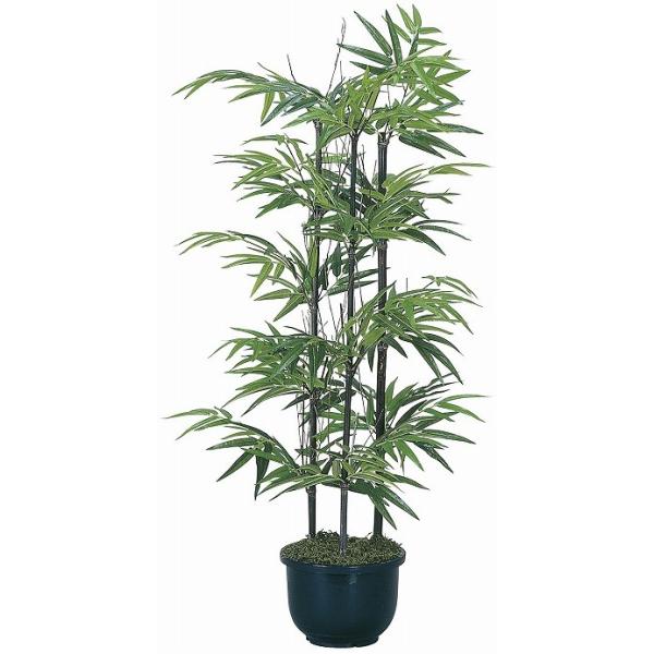 s|Eou[tsA[gO[tslHϗtAtG}@̊y@|PDO