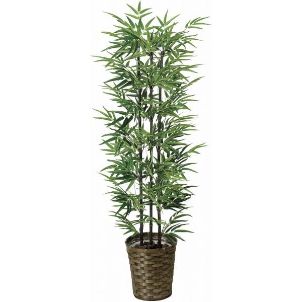 s|Eou[tsA[gO[tslHϗtAtG}@̊y@|PDRT