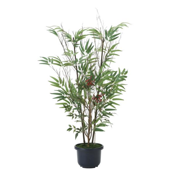 sA[gO[tslHϗtAtG}@̊y@|VPDO(FVR|)