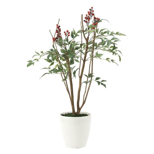 sA[gO[tslHϗtAtG}@̊y@VVO