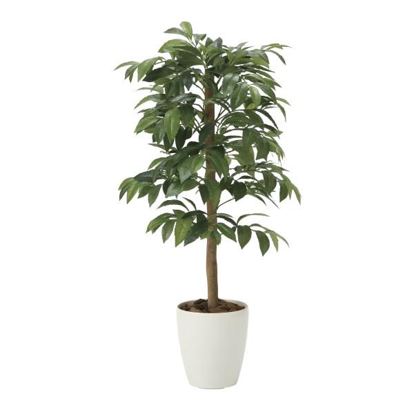 sA[gO[tslHϗtAtG}@̊y@AfVAijXO