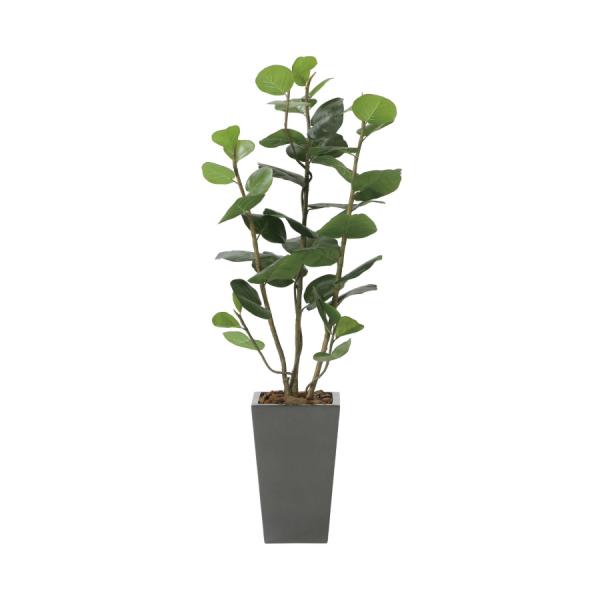 sA[gO[tslHϗtAt G}@̊y@A[oV[O[v1.35