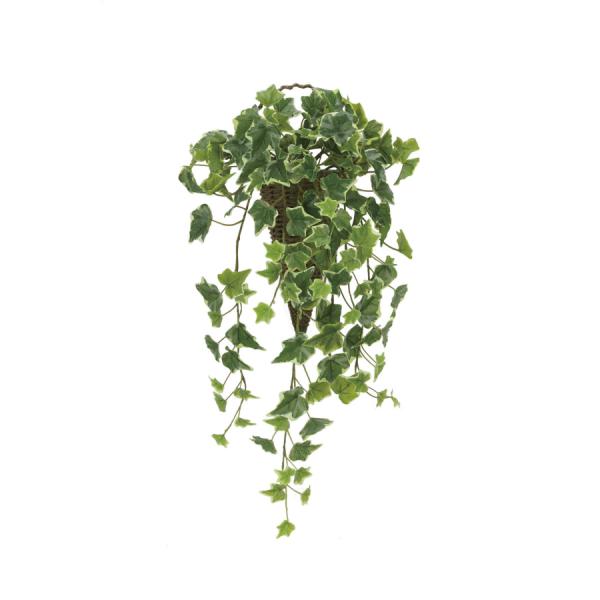 sA[gO[tslHϗtAt G}@̊y@Ǌ|ACr[