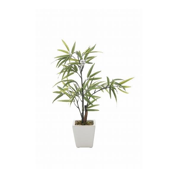 sA[gt[ts|Eou[tsA[gO[tslHϗtAtG}@̊y@|