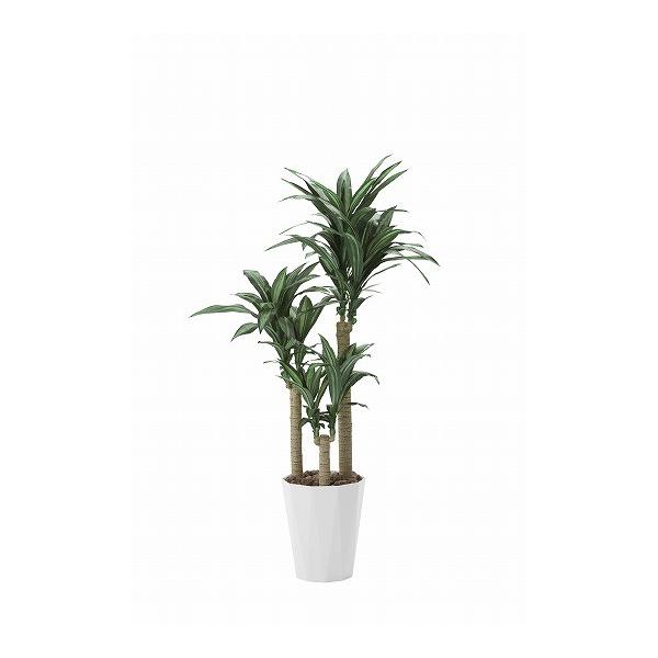 sA[gO[tslHϗtAtG}@̊y@K̖؂PDU