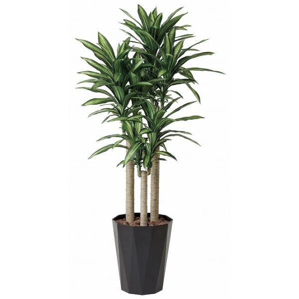 sA[gO[tslHϗtAtG}@̊y@K̖؂PDW