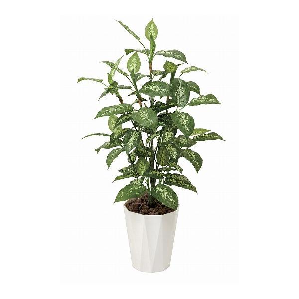 sA[gO[tslHϗtAtG}@̊y@fBtFoLAPDP