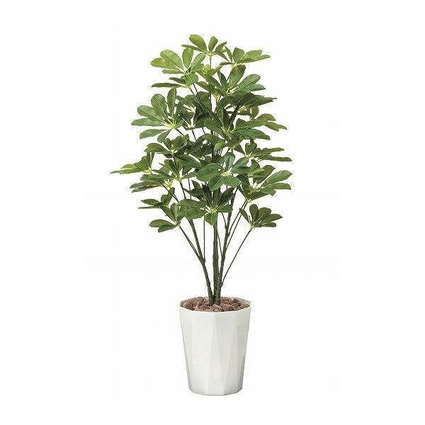 sA[gO[tslHϗtAtG}@̊y@VFt XO