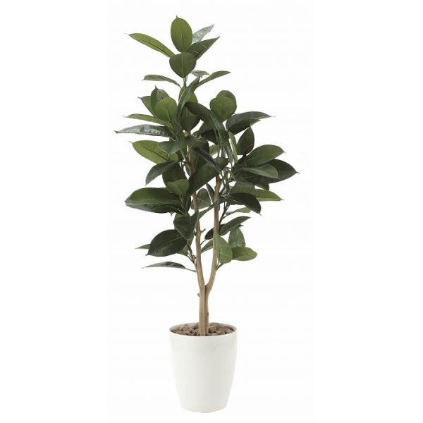 sA[gO[tslHϗtAtG}@̊y@S̖؁@PDQT