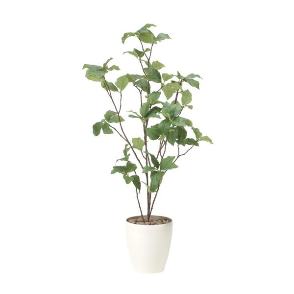 sA[gO[tslHϗtAtG}@̊y@TThE_XO