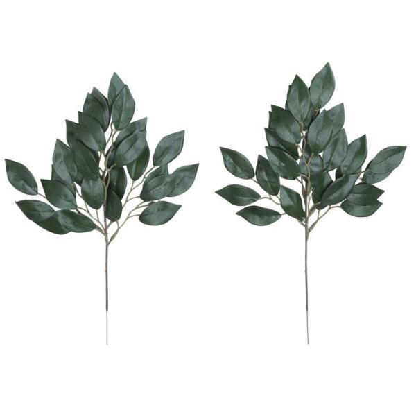 stsԁt&lt;br&gt;̊y@召S{Zbg