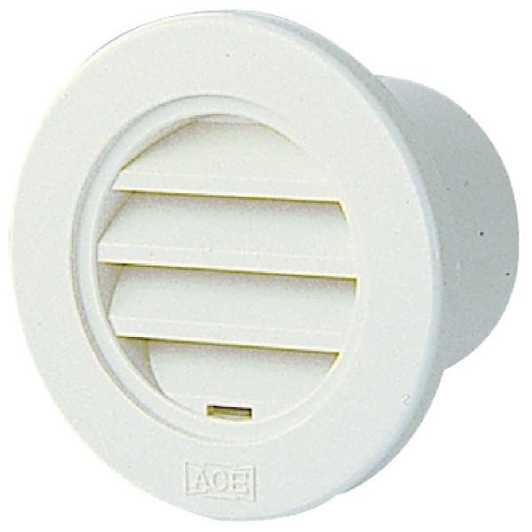 cG[X ACE 50^K WG ԕt