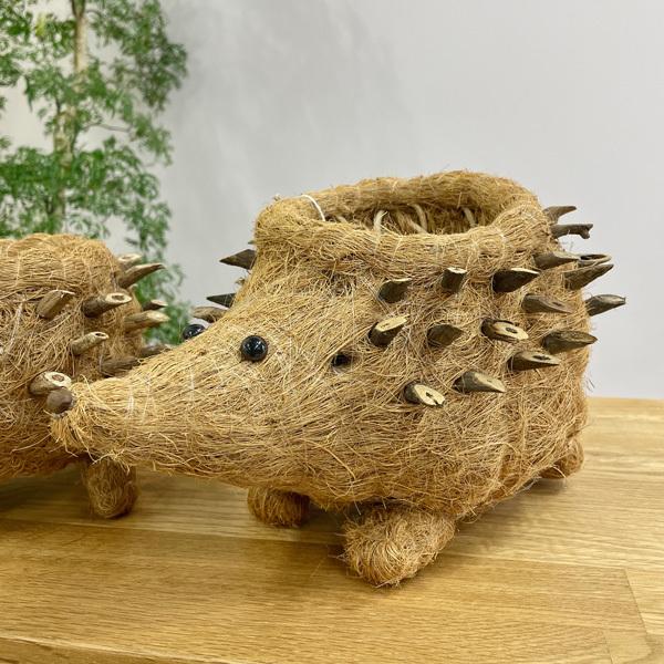 LIKHA(J[) Jo[ v^[ nlY~v^[ 2 Jo[ v^[Jo[ |bg ϗtA   