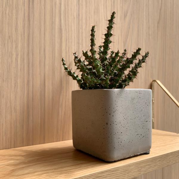 D&amp;M(fB[AhG) I[Lbh[|bg i` 4 Jo[  |bg t[|bg XNGA Jo[ ꌊȂ