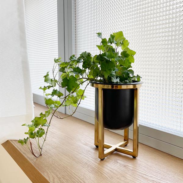 Clover クローバー アイアンプランター W ゴールドスタンド H17 鉢カバー 鉢 おしゃれ プランタースタンド アイアン 観葉植物 室内植物 Upstairs Outdoor Living 通販 Yahoo ショッピング