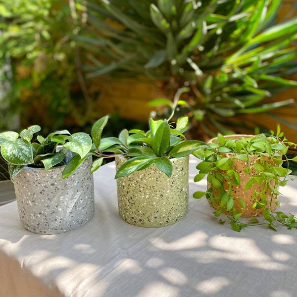 Bloomingville(u[~OB) RN[gt[|bg D14 O[AO[AIW 4 Jo[   k