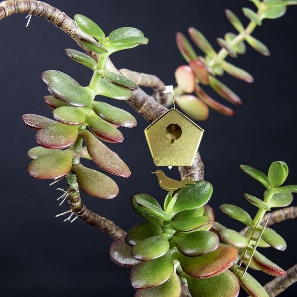 botanopia({^msA) ^Cj[o[hnEX 1ϗtA K[fANZT[ I[ig K[fjOI[ig  o[hnEX 