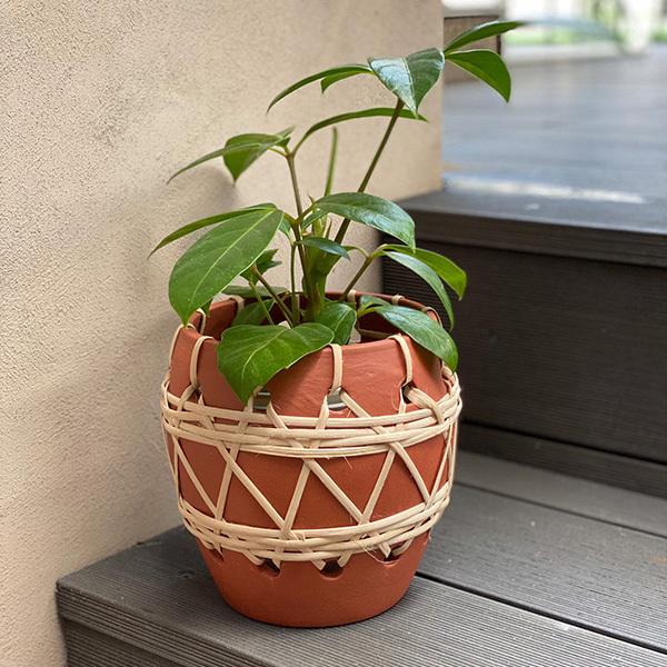 Bloomingville(u[~OB) eRb^t[|bg 16.5 5 Jo[  k A  |bg