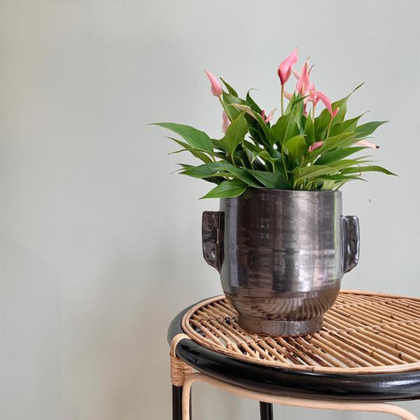 Bloomingville(u[~OB) eRb^t[|bg ubN 6 Jo[  k A  |bg eRb^