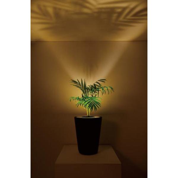 Pianta Stanza ピアンタスタンツァ フォレスタリウム S テーブルヤシ ブラック Club Esta 通販 Yahoo ショッピング