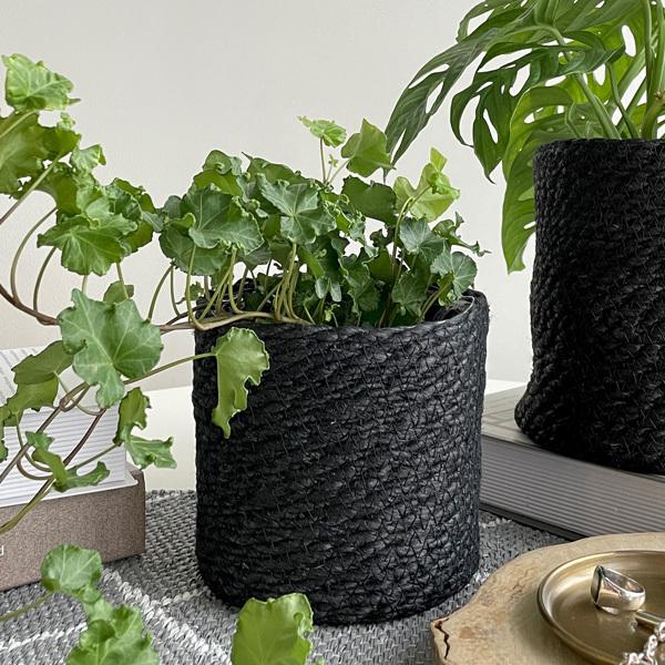 NORDAL(m_) [v|bg ubN 14 4 Jo[ |bg v^[Jo[ oXPbg ꌊȂ 14cm  ی^ ϗtA