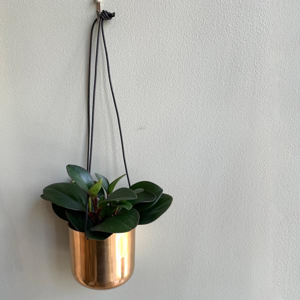 アルミニウム 牛革 プラントハンギング ポット 鉢 ガーデン グリーン 植物 金 吊り下げ デコレーション インテリアグリーン