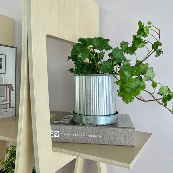 CLOVER(N[o[) Be[WuLv^[ EBY\[T[ 16 Vo[/ubN 5 Jo[ 󂯎M \[T[t ϗtA Vo[ 